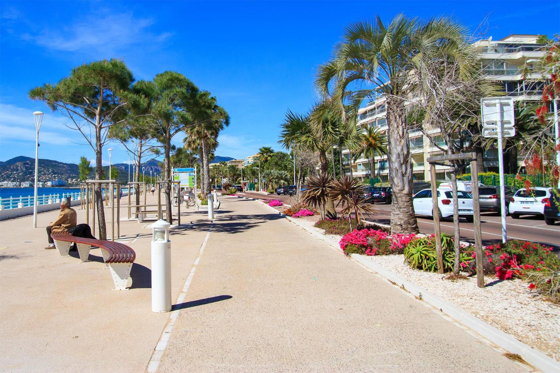 Apartment Josephines Cannes